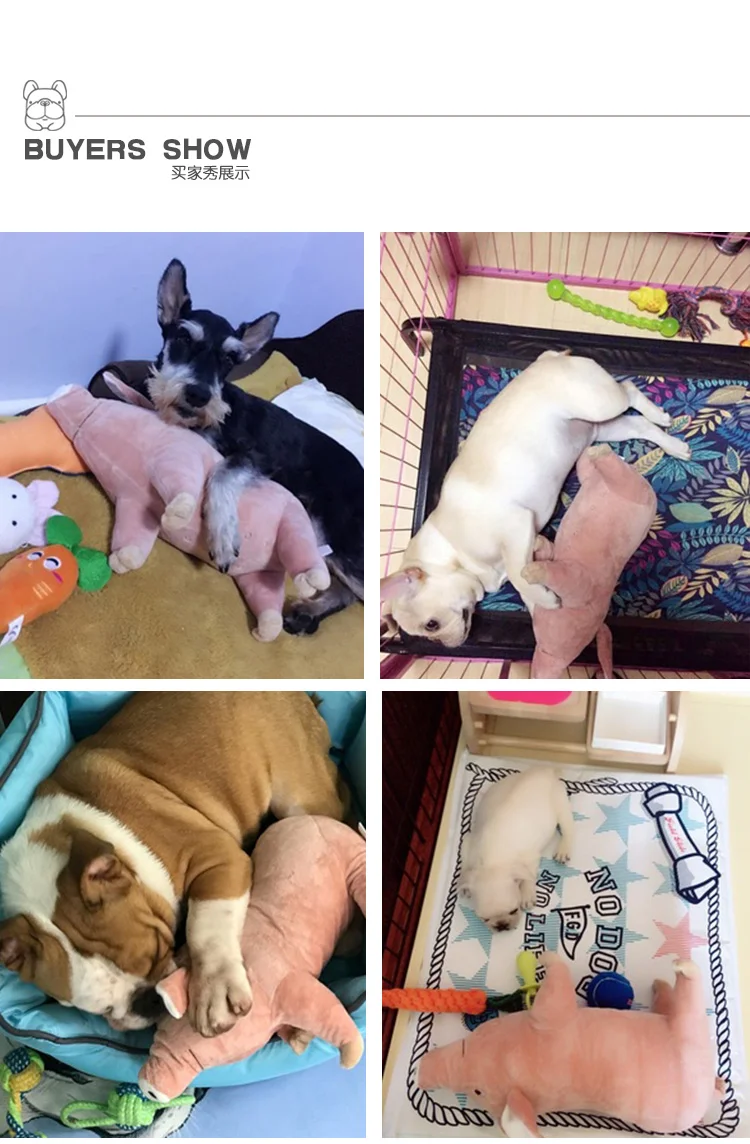 TB2goDNX9.EF1JjSZPcXXaxaFXa_!!58305263