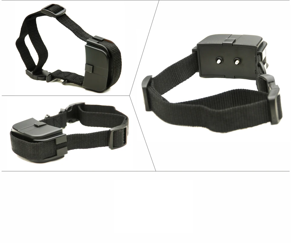 10th Dog Electric Collar PET998D