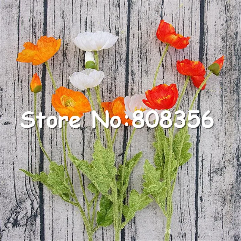 646