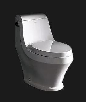 2016 hot sale CE certificate UPC certificate One piece toilet ceramic toilet water font b closet