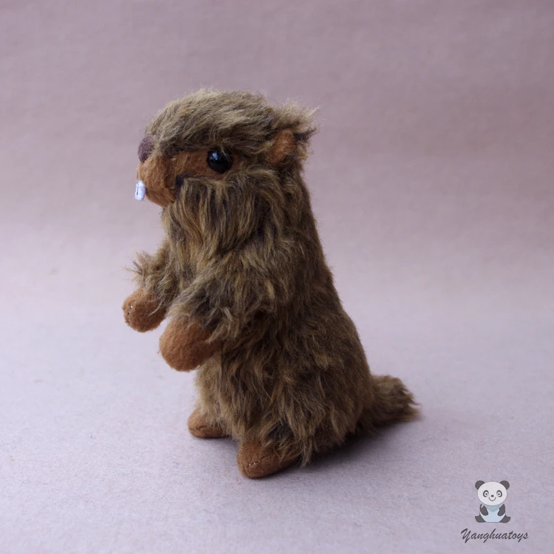 

Real Life Plush Animals Groundhog Doll Toys Children Gifts Marmot Dolls Kawaii Toy Shop