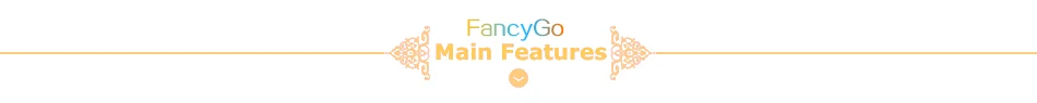 main features