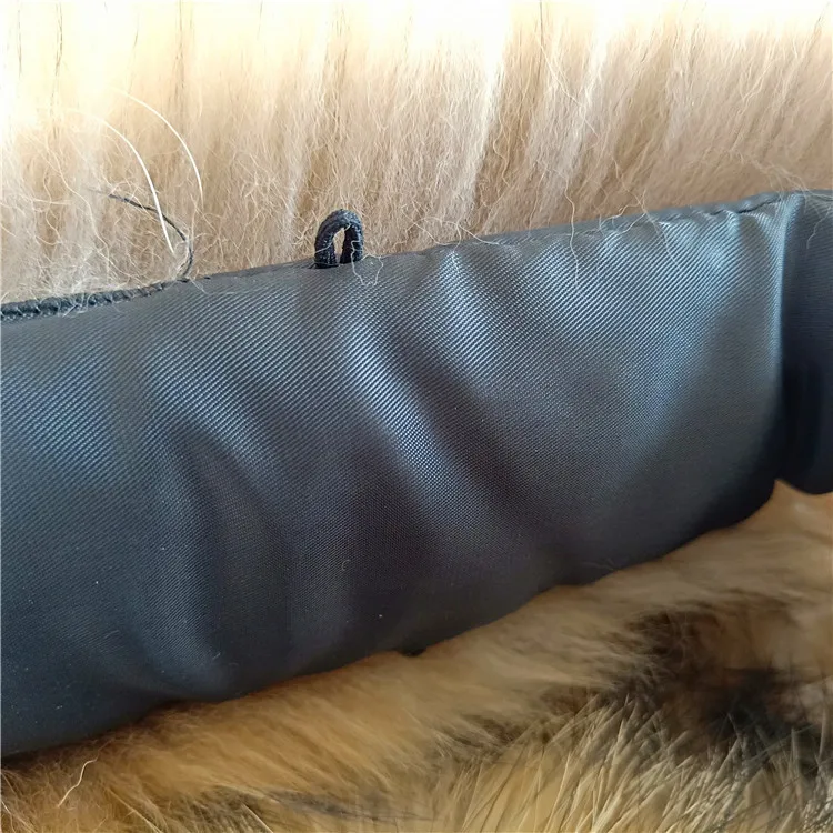 IMG20190128131359