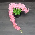 C   60CM