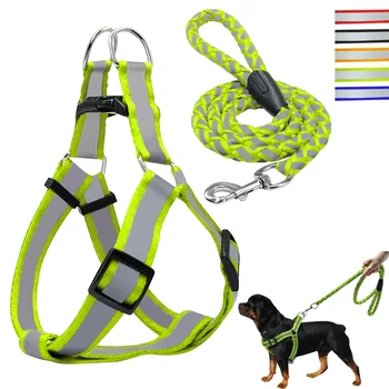 Small Dog Harness and Leash