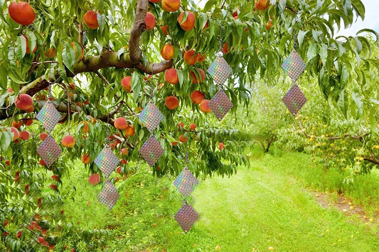8Set Reflective Bird Scarer Deterrent Repellent Discs Pigeon Hawk Seagull Sparrow Woodpecker Crow Goose Pest Control 8Set Reflective Bird Scarer Deterrent Repellent Discs Pigeon Hawk Seagull Sparrow Woodpecker Crow Goose Pest Control