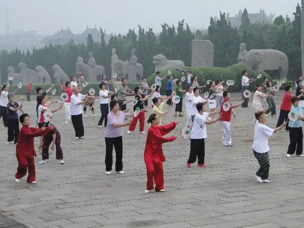 Китайский Kongfu китайский ушу боевые искусства Taiji Рули мяч спорт Тай Чи ракетка