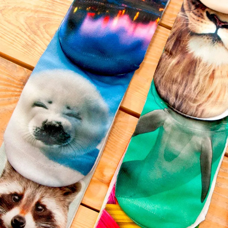 HTB1O4DeKXXXXXb7XpXXq6xXFXXXl