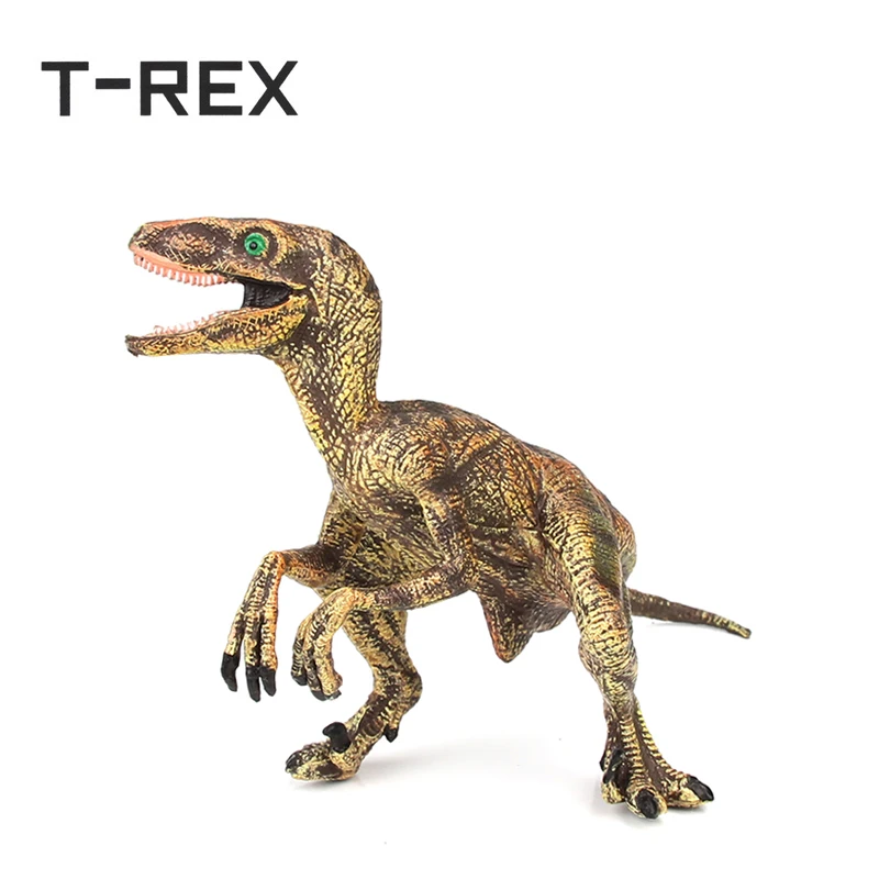 SS016-2