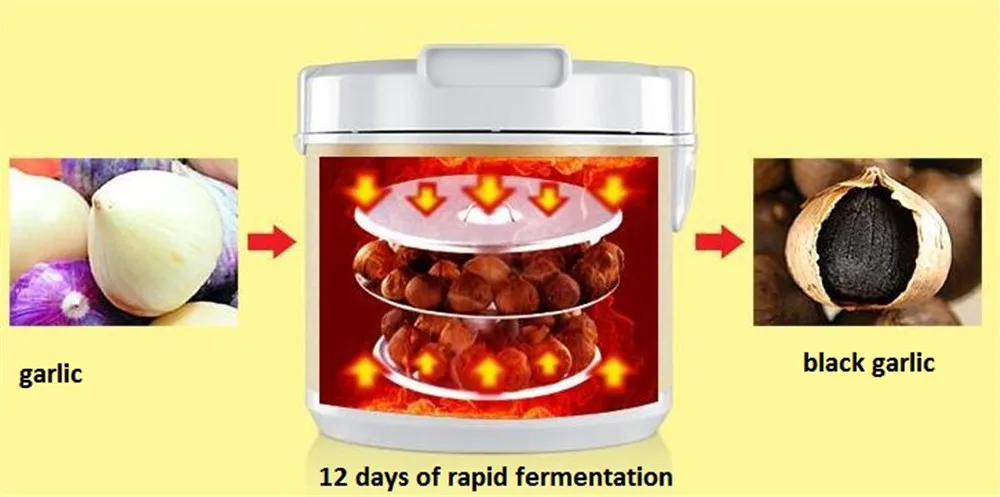 black garlic machine05