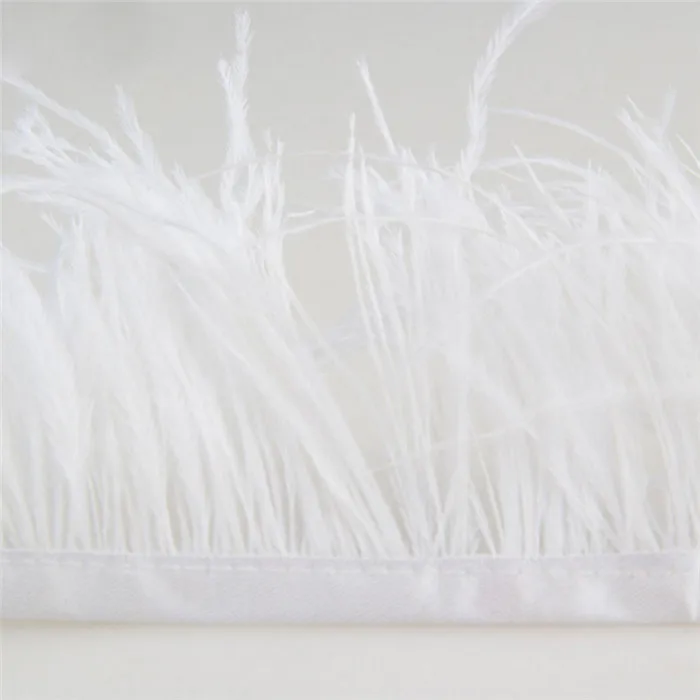 00 ostrich feather trim 4