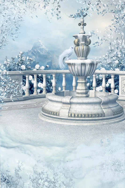 Laeacco зимний сад замороженный фонтан цветы снег мечтательный живописный фотографии фоны для фотостудии - Цвет: Небесно-голубой