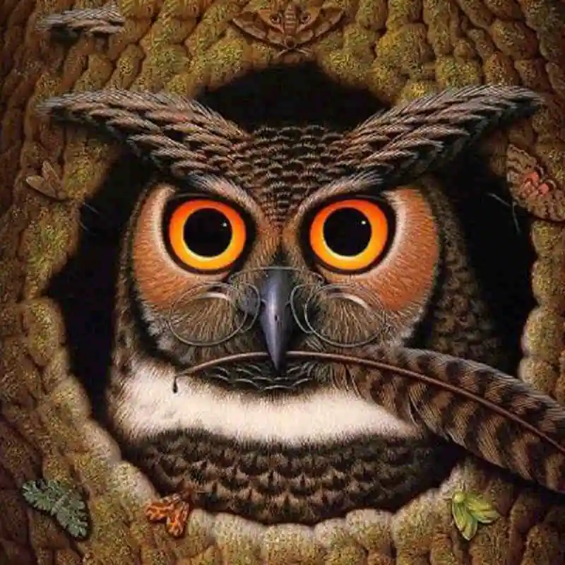 16-owl with glass