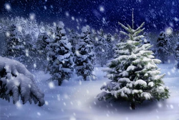 

HUAYI Winter Snow Scenery Art fabric Photography Backdrop Newborns Portrait Photo Backgrounds XT-4275