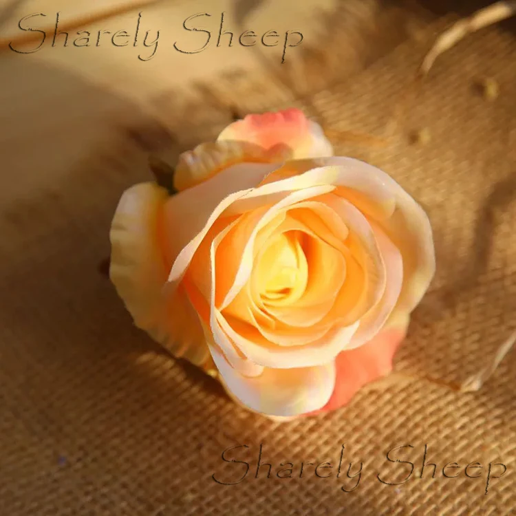 newborn photo shoot flower props