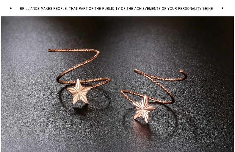 18k Pure Gold Stud Earring Exquisite Elegant Women Jewelry Rose Yellow White Star Miss Girl Gift For Birthday Hot Sale Good New