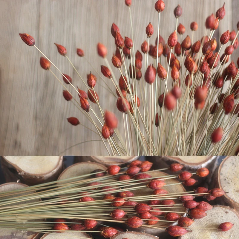 10 Pieces A Lot Dried Gardenia Flower Bag Natural Dried Flowers Home