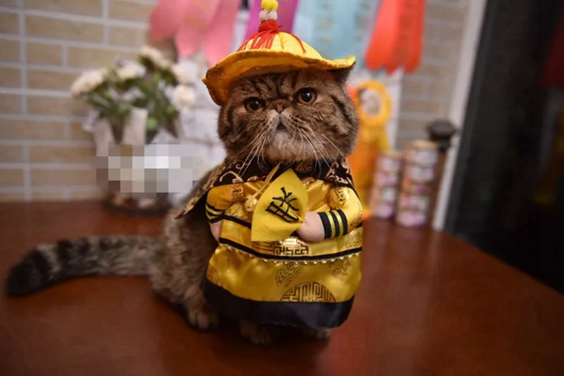 [MPK Store 2] костюм для домашних животных, платье для кошек и собак, традиционный Императорский костюм, костюм для домашних животных