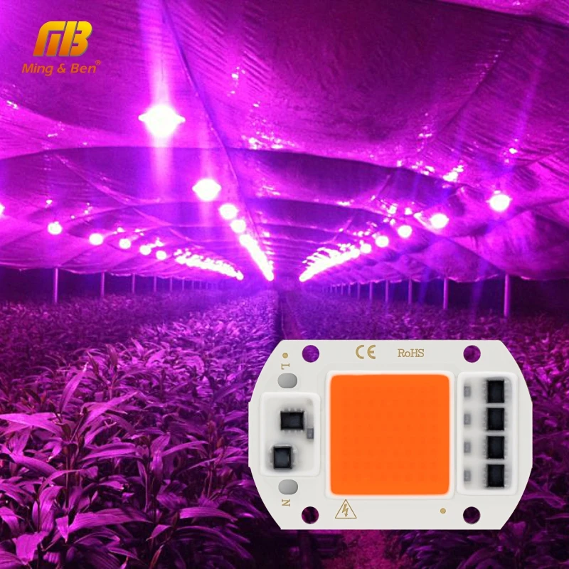 5 шт. LED COB чип 20 Вт 30 50 AC 220 В Smart IC DIY светодиодные шарики для светодиодного