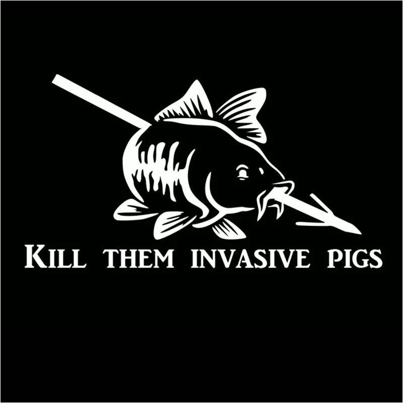 FISHING decalPesca pegatina nombre pescado bagre pesca etiqueta Ganchos aparejos caza Hunter parede decor mural sticker F-204 FISHING decalPesca pegatina nombre pescado bagre pesca etiqueta Ganchos aparejos caza Hunter parede decor mural sticker F-204