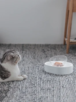 

Adjustable Angle Transparent Cat Bowl Non-slip Cat Bowl Two Bowls Pet Food Bowl PC Silent Tilted Dog Bowl Cat Drinking Tank