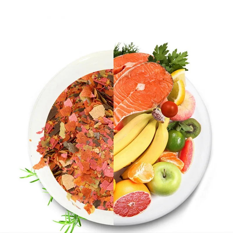 

50g sliced fish food, floating color, brightening, net content, pond scales, pond food, goldfish food