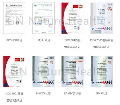 GMP certified Dioscoreae rhizoma extrato do yam
