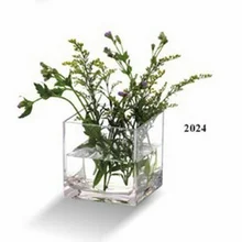 JB2024 BAKEST ваза для цветов прозрачная простая элегантная стильная настольная посуда для домашнего декора