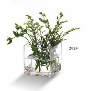 

JB2024 BAKEST Flower Vase Crystal Transparent Simple Elegant Style Home Decor Tabletop Ware
