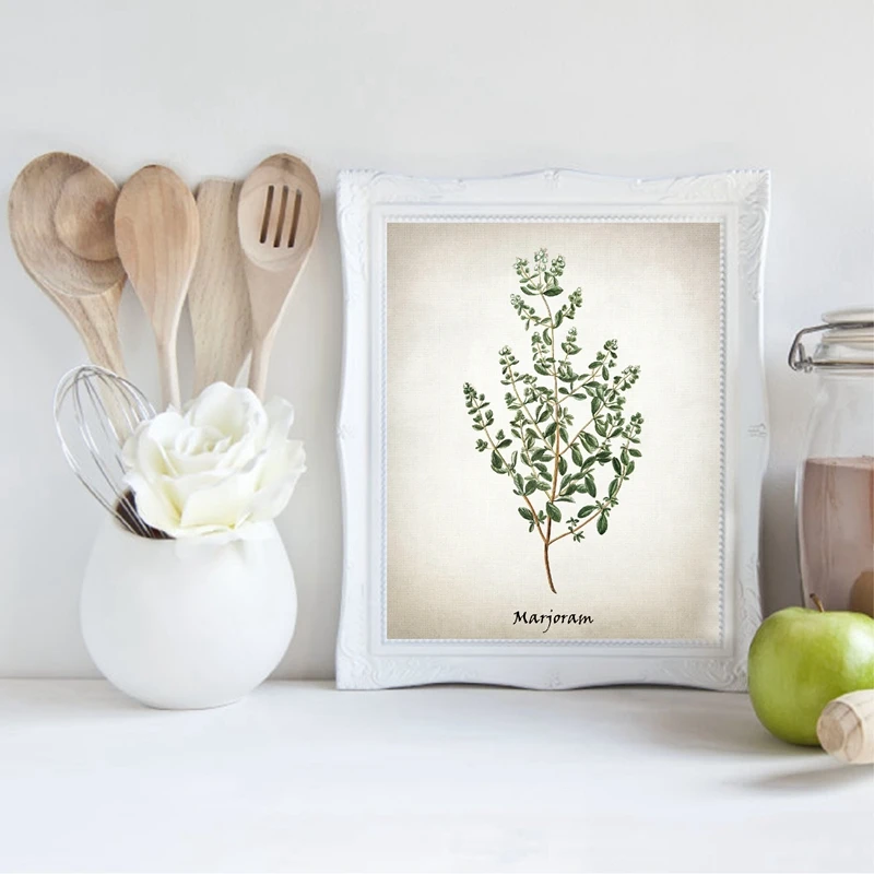Vintage Herbal Illustrations Prints Home Wall Decor
