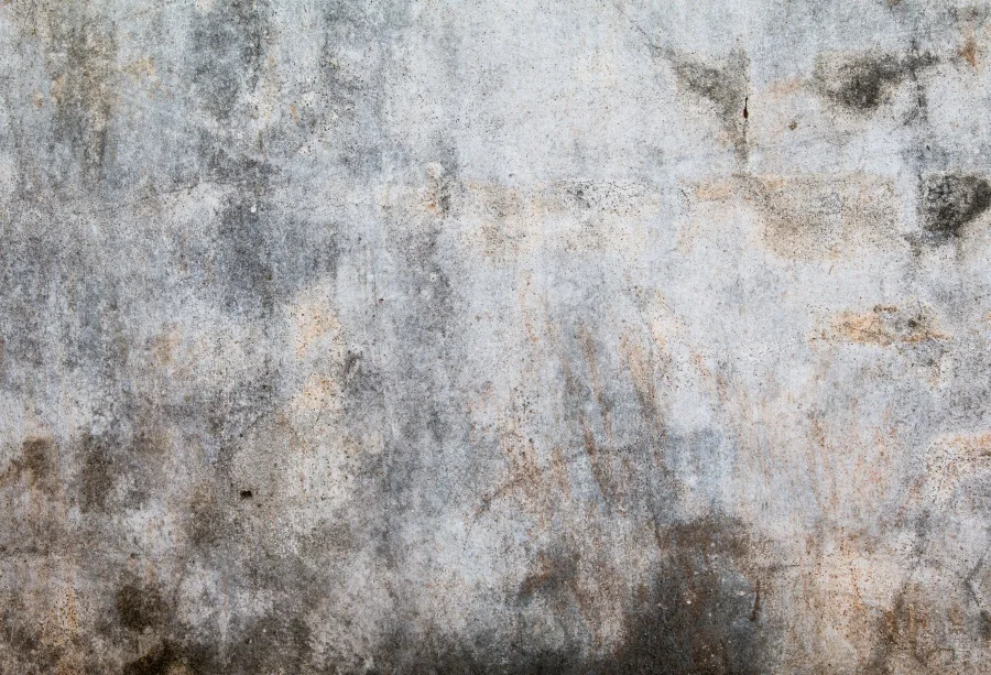 

Photo Backdrops Surface Cement Wall Texture Gradient Solid Color Party Wallpaper Portrait Photographic Backgrounds Photo Studio