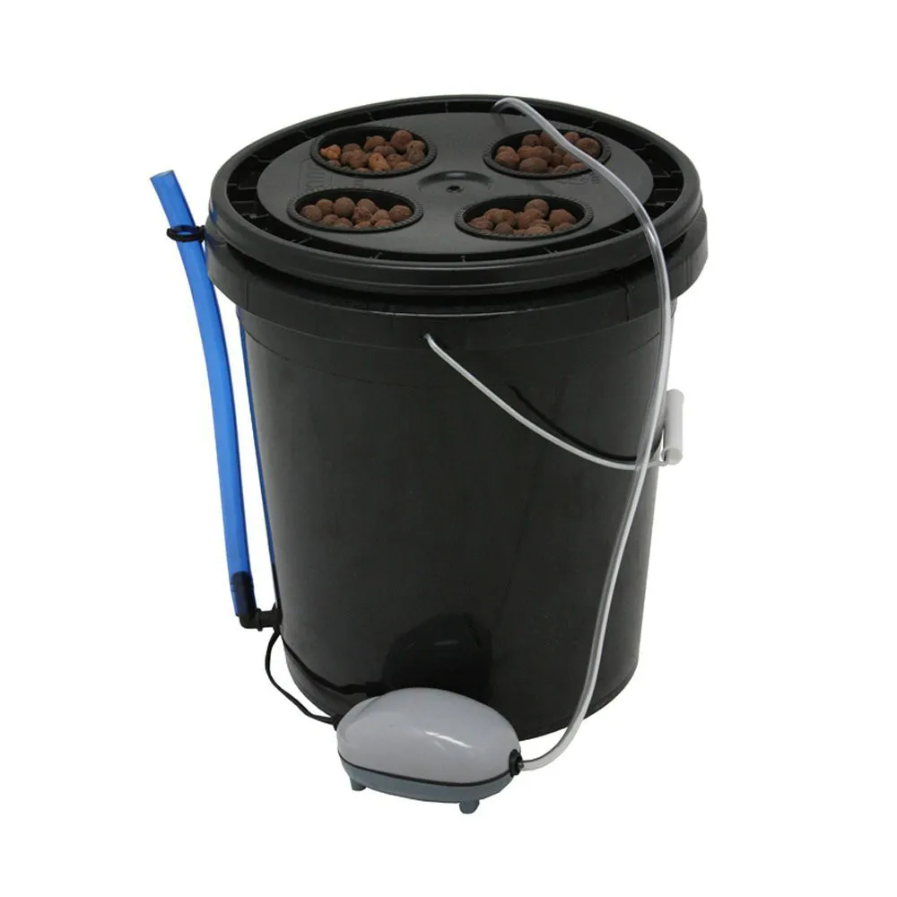 Deep Water Culture DIY Hydroponic System DWC Bubble Buckethydroponic