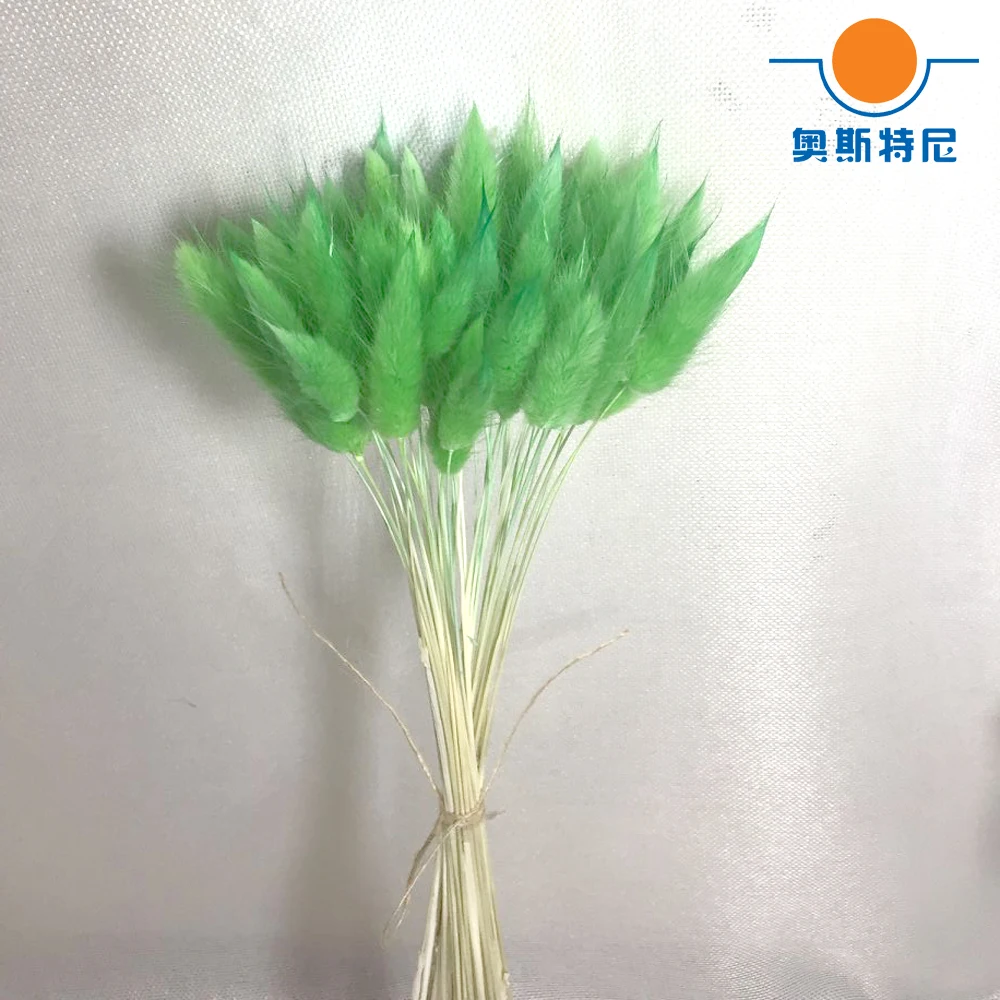 QQ20171122201300