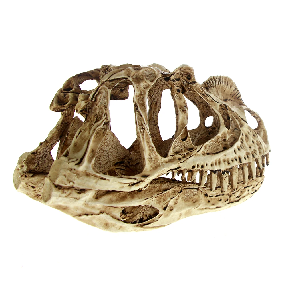 Ceratosaurus модель черепа высокая точность Рекс динозавр смола окаменелый череп
