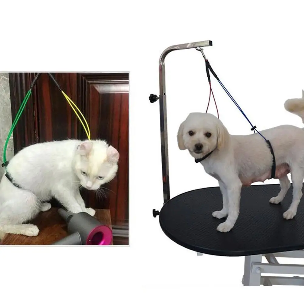 No-Sit Haunch Holder Dog Cat Beauty Tool Grooming Loop Noose Stainless Steel Wire Rope Restraint Noose for Grooming Tables 20E No-Sit Haunch Holder Dog Cat Beauty Tool Grooming Loop Noose Stainless Steel Wire Rope Restraint Noose for Grooming Tables 20E