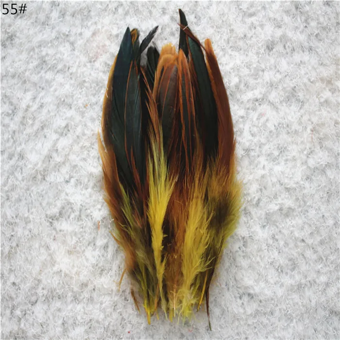 Y55
