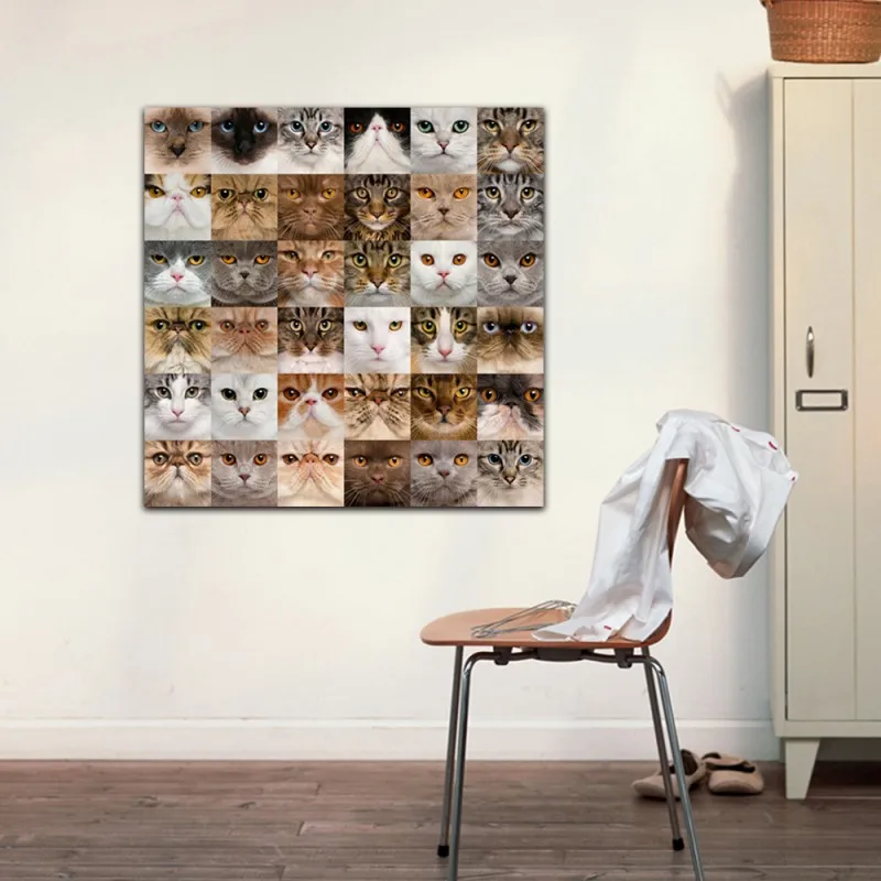 Коллаж картина на стенах художественная живопись холсте с принтом в виде кошки и
