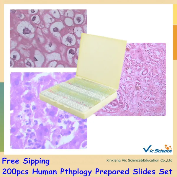 Горячая продажа 200 шт патологии человека подготовленные Горки Набор|pathology slides|setset