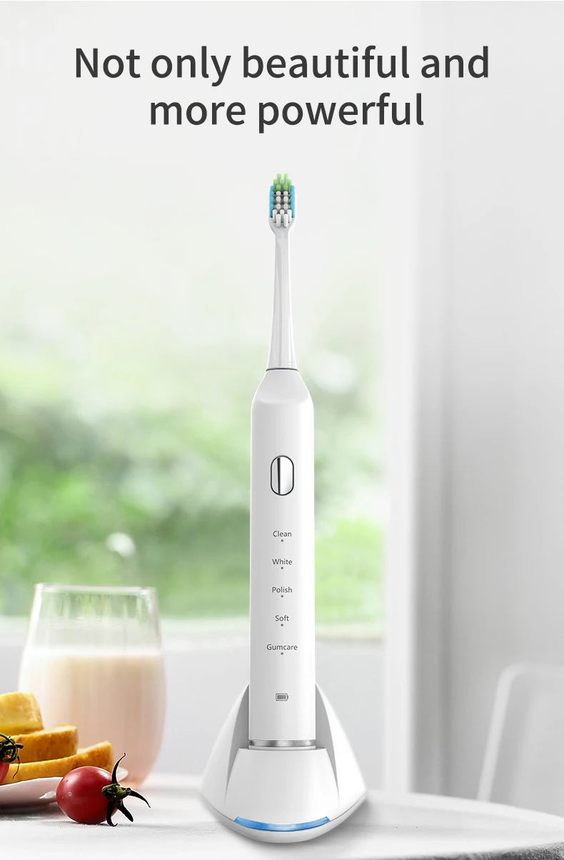 electric toothbrush (2)