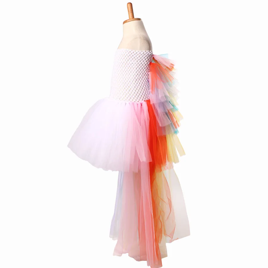 Colorful Pony Mane dress