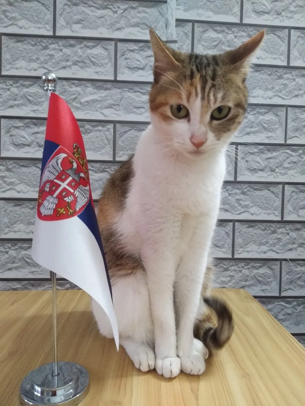 

Serbian table flag negotiation flag sign flag stainless steel flagpole + flag seat 14*21cm free shipping NO.0008