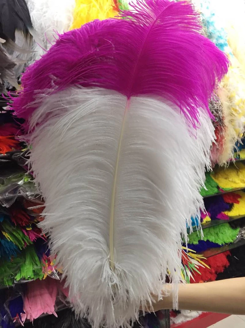 Buy Cking Brand! Factory 50pcs Bi colors Dyed Ostrich Feathers 70 75cm Dyed