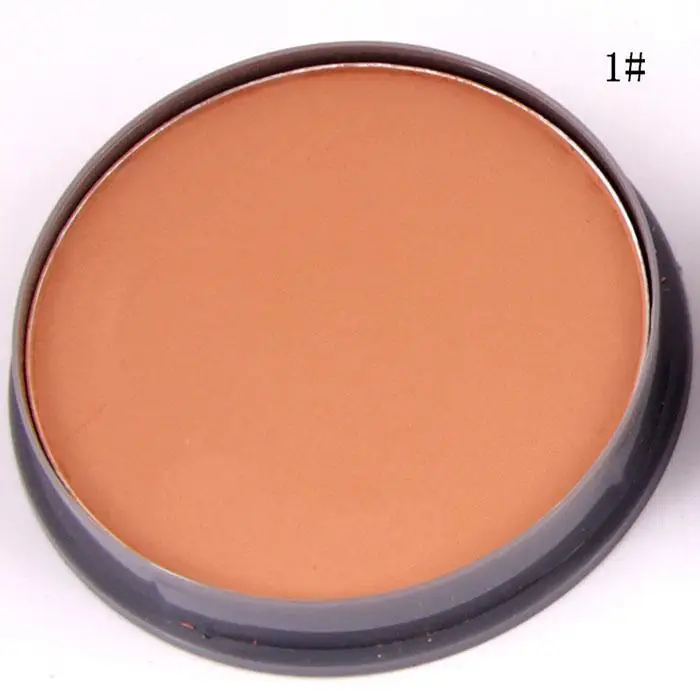 Professional Moisturizing Concealer Facial Powder Oil Control Casual, Party, Dating 64g China Foundation