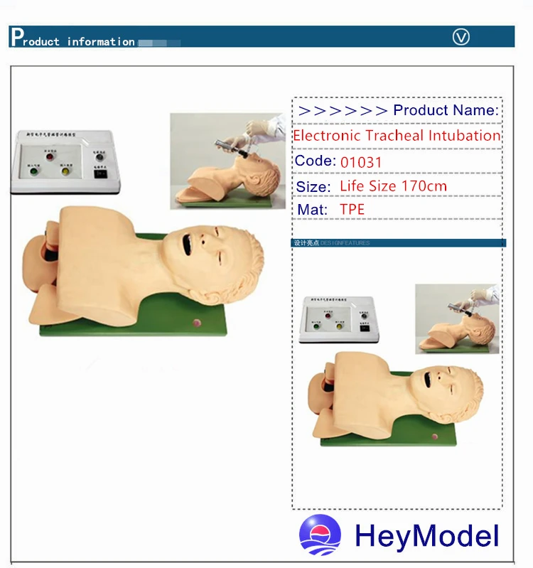 Heymodel электронный интубации трахеи модель (с зубами давления report) CRP/J5S с тревогой