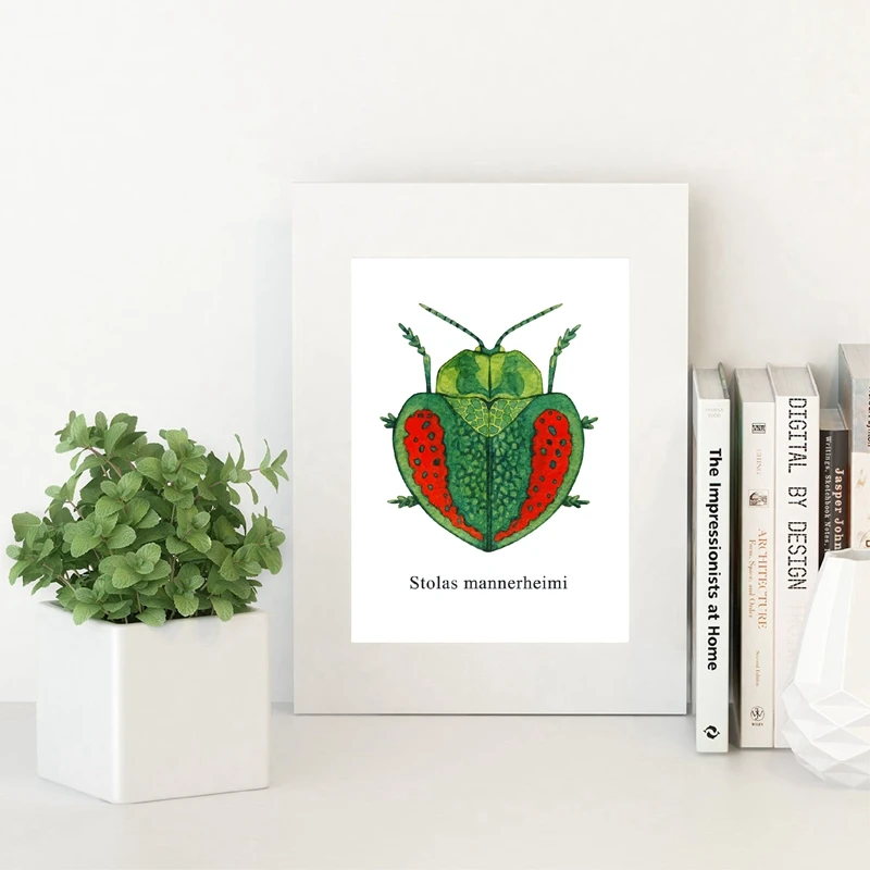 Stolas Mannerheimi Prints Home Decor