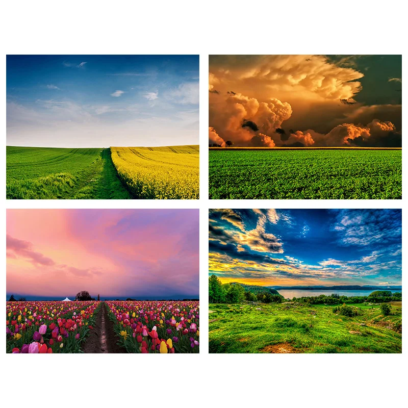 

Framed Diamond Painting Full Drill circular Landscape 5D DIY Diamond Embroidery Flower Field Picture Of Rhinestone Living Room