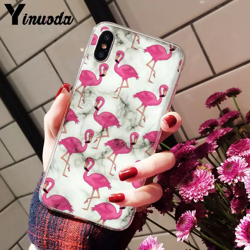 Flamingo Cute Animals Birds