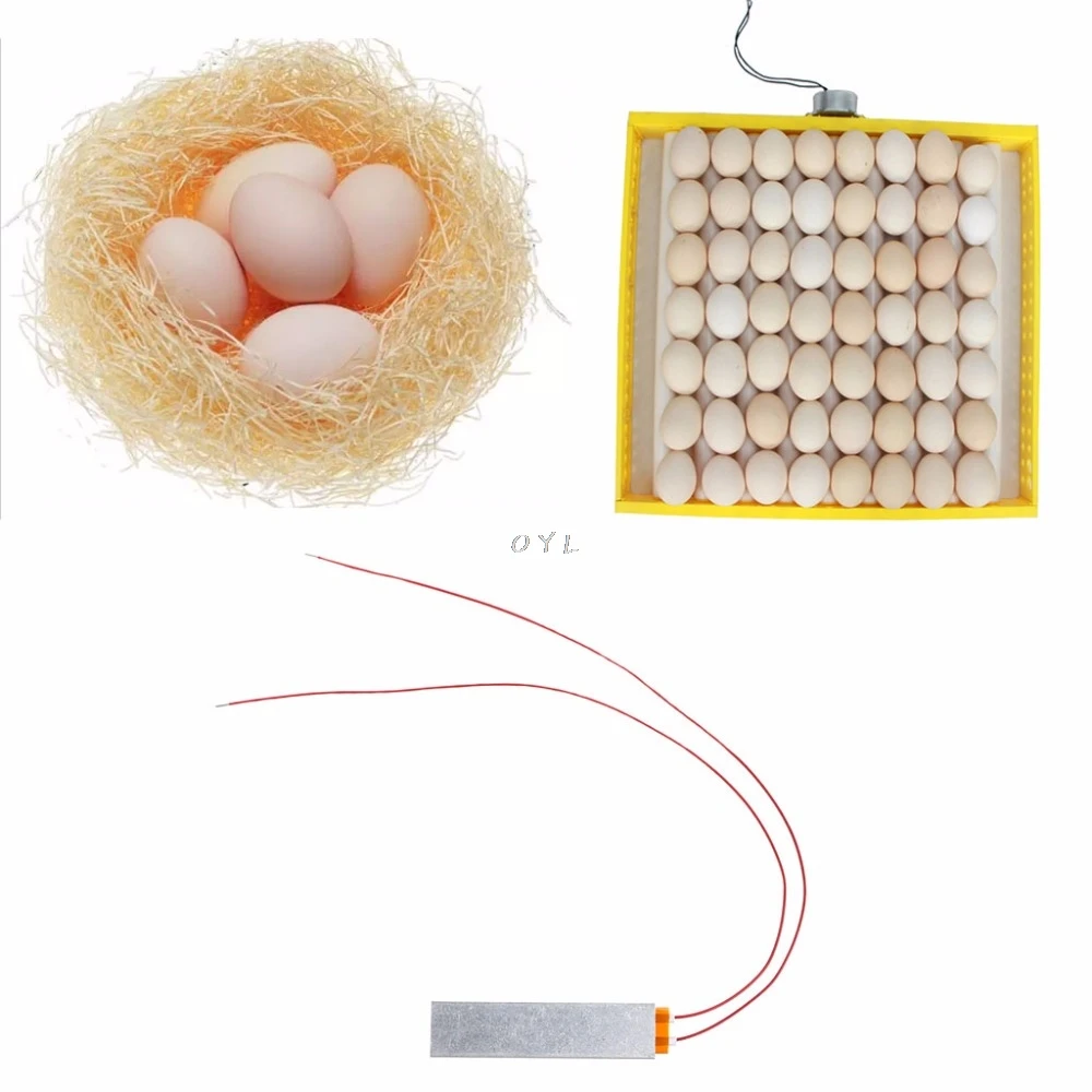 Нагревательный нагреватель для инкубатора элемент плиты для яйцо принадлежности для инкубаторов 110V