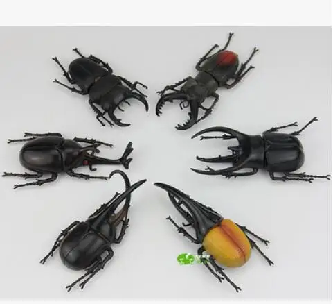 Большая пластиковая модель жука детские игрушки раннего возраста|toy model|plastic