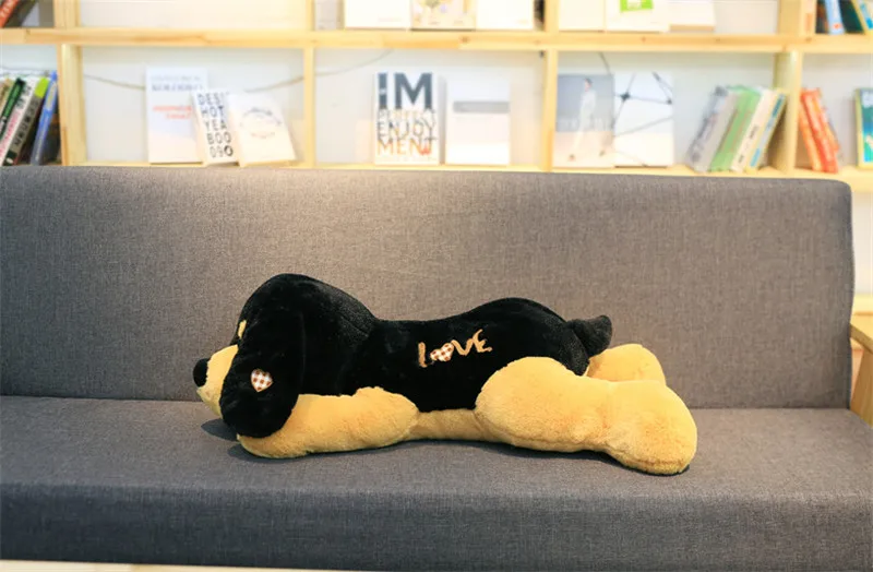 puppy dog11
